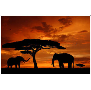 Obraz na plátne 50x70cm AFfrika Slony, oranžovo čierny