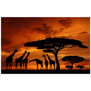 Obraz na plátne 50x70cm AFRIKA ŽIRAFY oranžovo-čierny